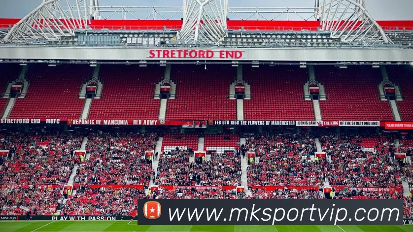 多媒体互动体验