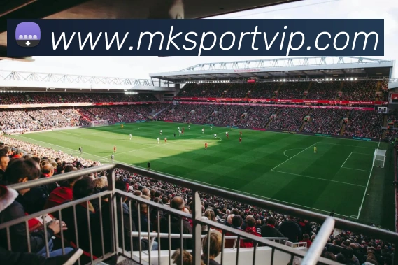 MK体育APP 高清赛事图